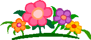 I picked these especially for you, Nikki!