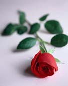 To my Aunt Kay, I love you!